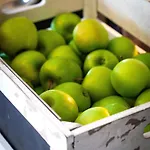 Radisson Blu Hotel, 4*