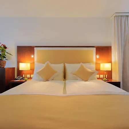 Radisson Blu Hotel, Hotel