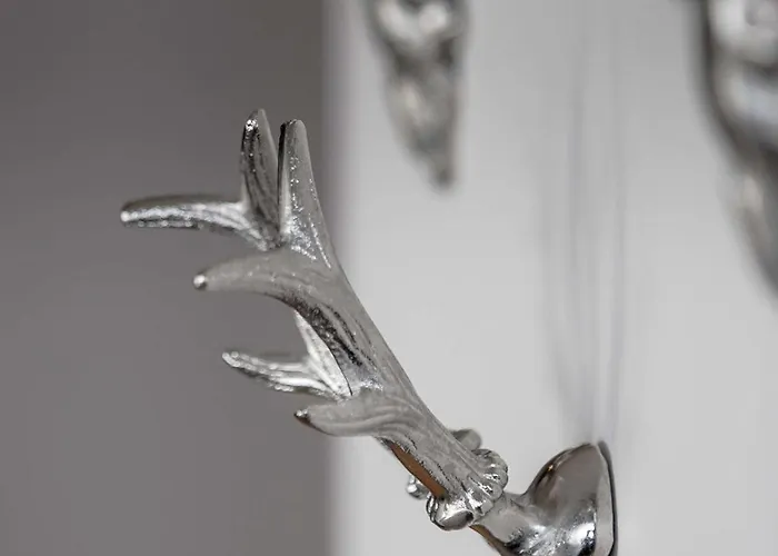 Radisson Blu Hotel, Hotel