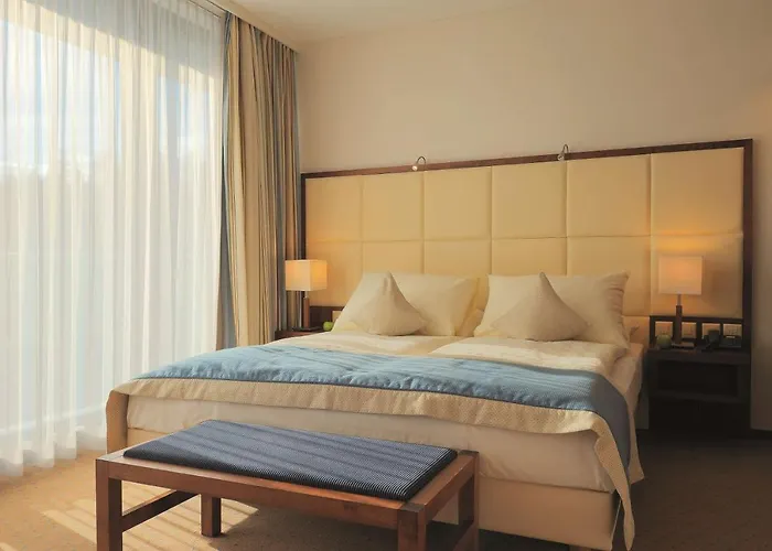 Radisson Blu Hotel, Hotel