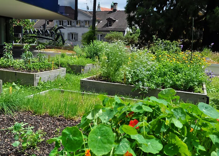 Radisson Blu Hotel, Hotel St. Gallen