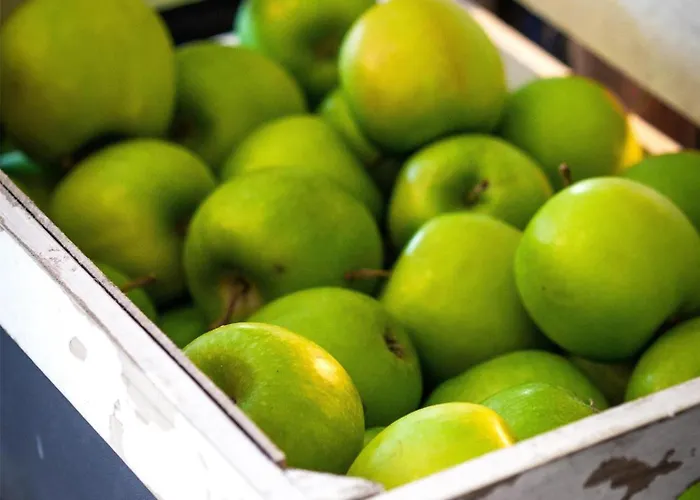 Radisson Blu Hotel, 4*